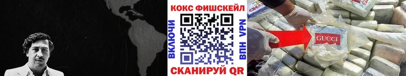 Купить где  Спас-Деменск  Кокаин FishScale 