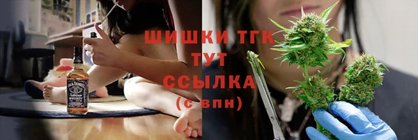 дмт Богданович
