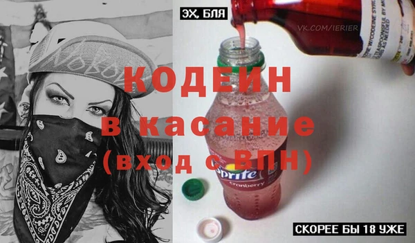 дмт Богданович