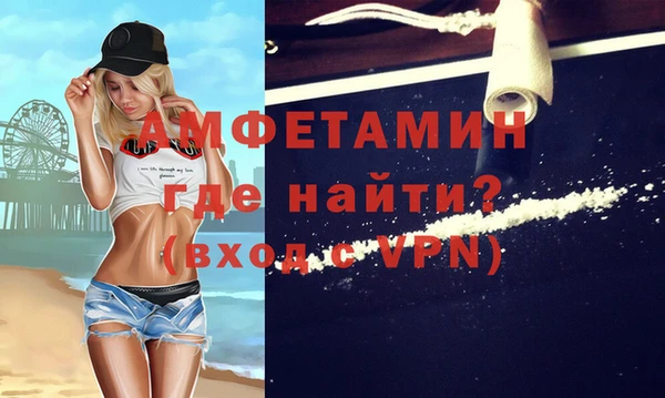 дмт Богданович