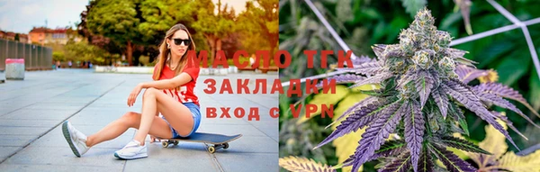 дмт Богданович