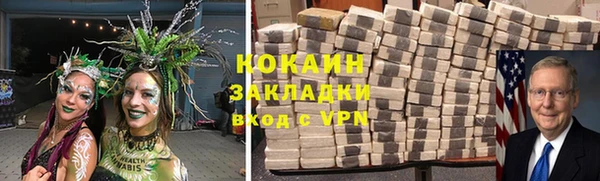 дмт Богданович
