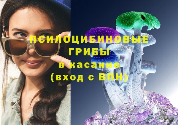 дмт Богданович