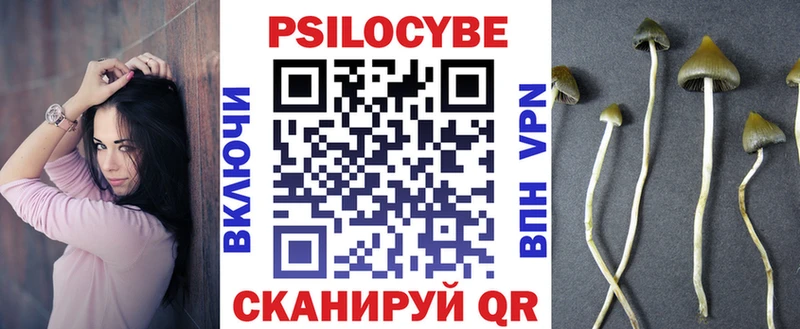 Купить где  Спас-Деменск  Псилоцибиновые грибы GOLDEN TEACHER 